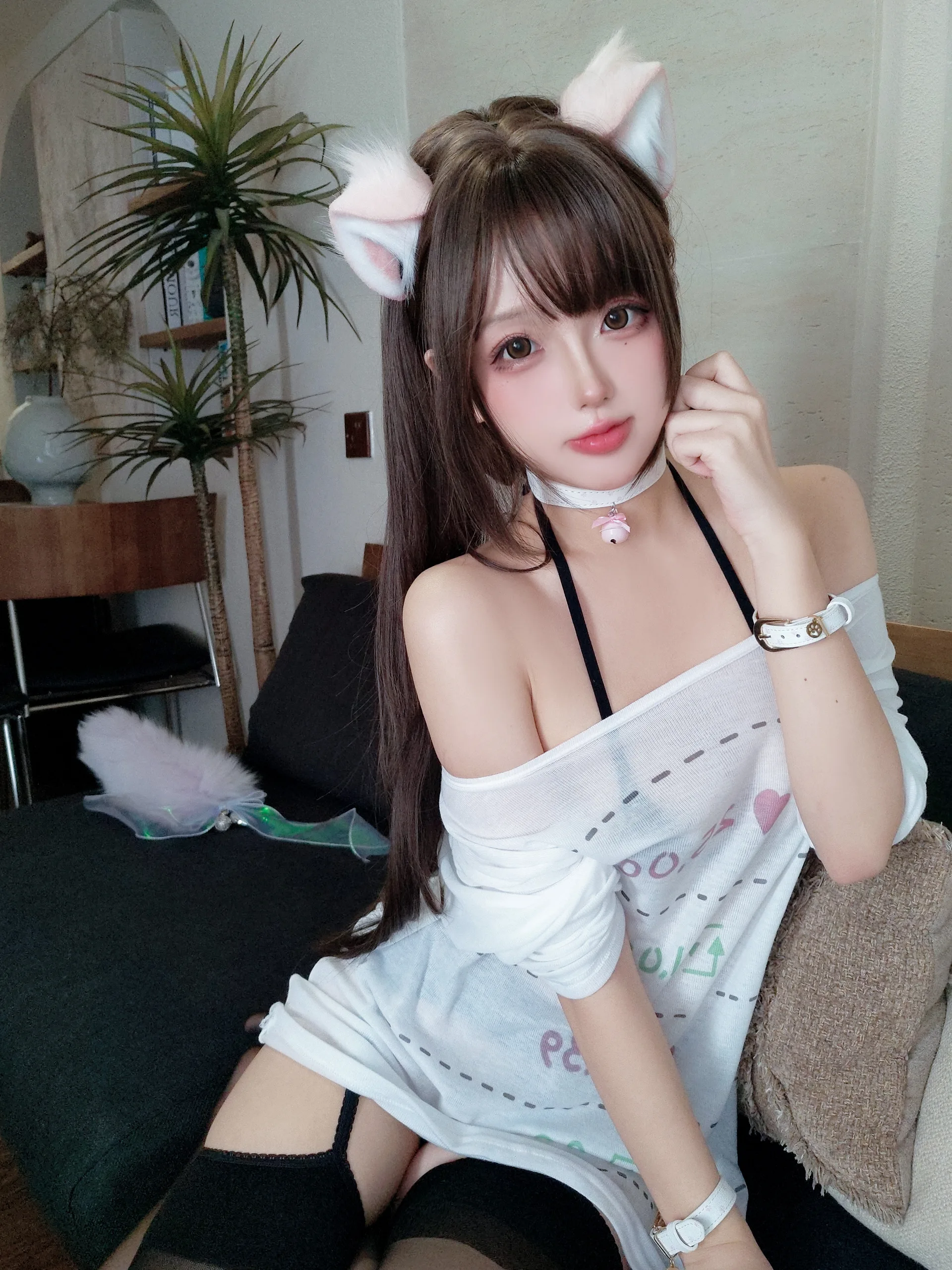 日奈娇 家里的猫